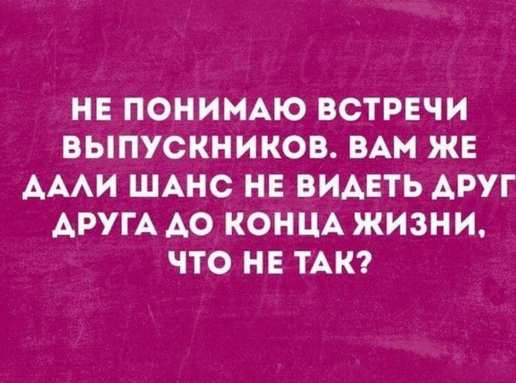 Смешные истории и анекдоты. Все для настроения 