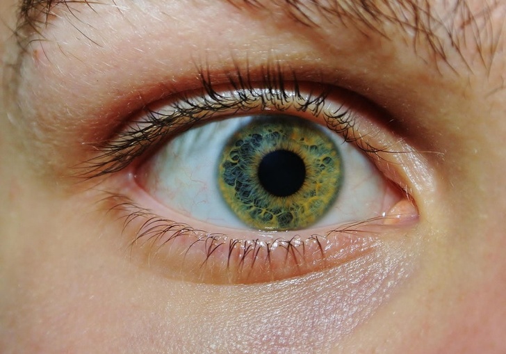 20 диковинных редкостей: это все равно что встретить живого единорога! 20 диковинных редкостей: это все равно что встретить живого единорога! интересное,необычное,фотография