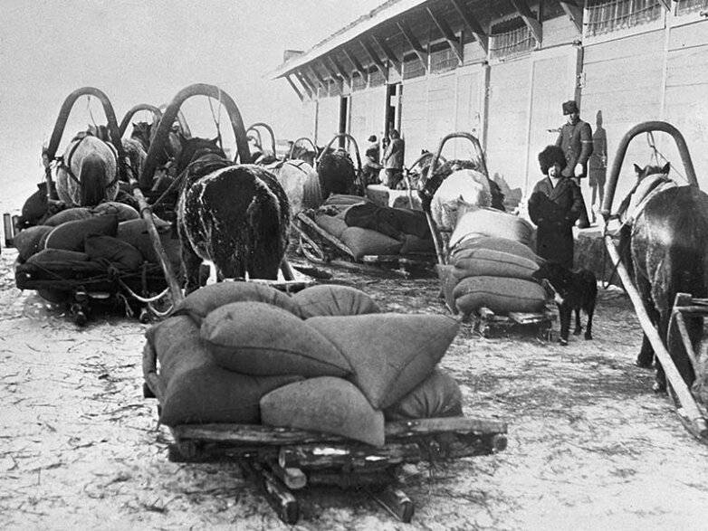 Зерно — фронту. Продразвёрстка в России. Столетний юбилей Зерно — фронту. Продразвёрстка в России. Столетний юбилей