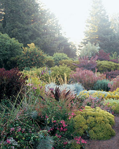 wild-garden-inspiration-herbs4.jpg wild-garden-inspiration-herbs4.jpg