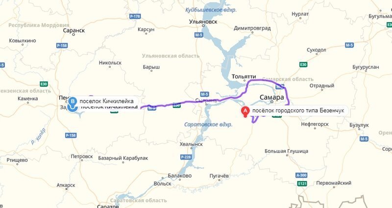 На минуточку, расстояние от Кичкилейки до Безенчука (Самарская область) составляет около 500 километров. жестокость, зоозащитники, история, пенза, пензенская область, пес, собака