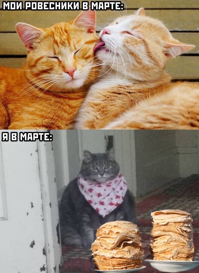 Подборка прикольных картинок  приколы,смешные картинки,юмор