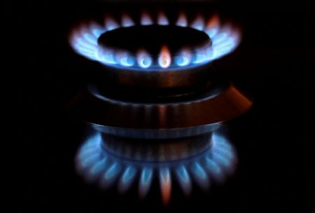 FILE PHOTO: Flames from a gas burner are reflected on a cooker in a private home in Bad Honnef near Bonn, Germany, October 11, 2021. REUTERS/Wolfgang Rattay/File Photo 