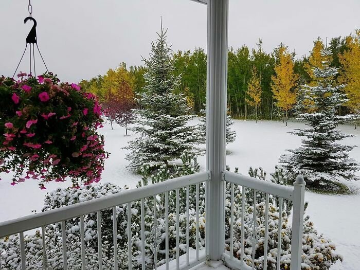 Такое бывает только в Канаде! заграница,путешествие,страны,туризм