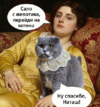 Центнер красоты Аллочка, чтобы, шагомер, соседка, только, вдруг, буквально, Аллочку, формы, каждый, решила, временами, пойти, потому, похудеть, пришлось, пошла, после, чтолиКакто, политых