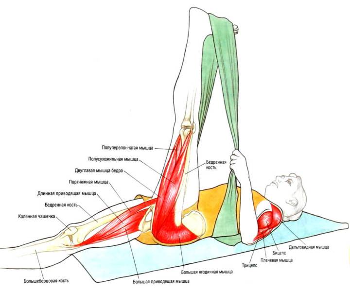 34 упражнения на растяжку