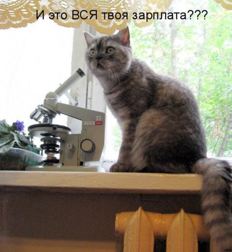 http://mtdata.ru/u23/photo3719/20715292068-0/big.jpeg