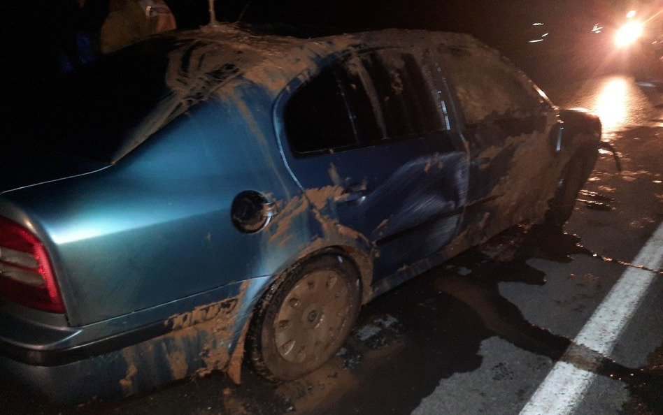 Под Оренбургом автомобиль утонул в кювете с водой, погибли двое детей и мужчина