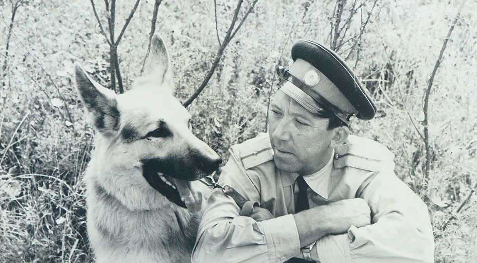 «Ко мне, Мухтар»: 8 пород собак, которые были популярны в СССР домашние животные,наши любимцы