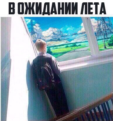 Забавные картинки с надписями со смыслом ( Забавные картинки с надписями со смыслом (