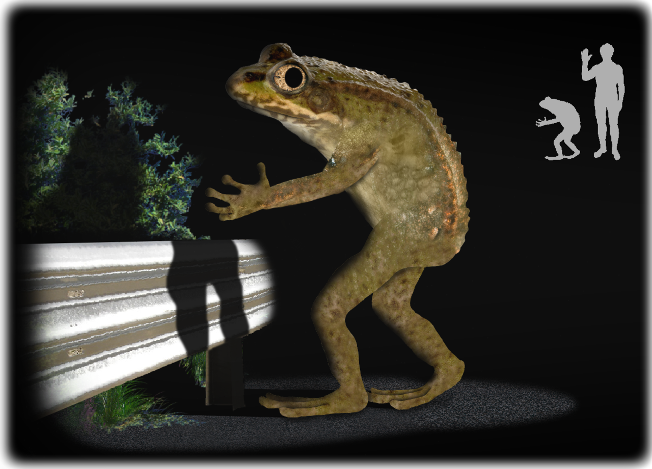 Криптозоолог. Лягушка Лавленда. Loveland Frogman. Лягушка из Лавленда. Человек лягушка криптид.