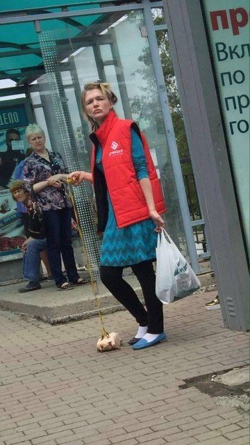 Прикольное - абсурдное 