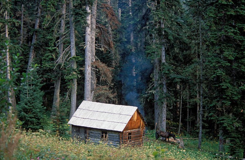 Таежные избушки избушки, картинки, тайга