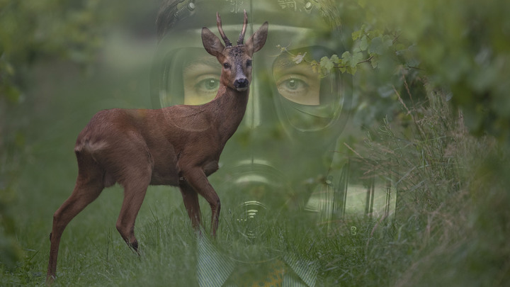 ПАРАЗИТЫ, ЗОМБИ, ЯДЫ. РОССИЯ ПРОХОДИТ ТЕСТ НА АПОКАЛИПСИС