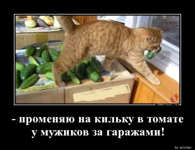 Демотиваторы дня: «Хорошо выспалась…»  