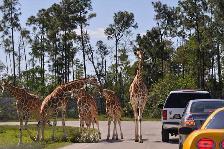 Лучшие природные достопримечательности России и Америки природа,Путешествия,фото