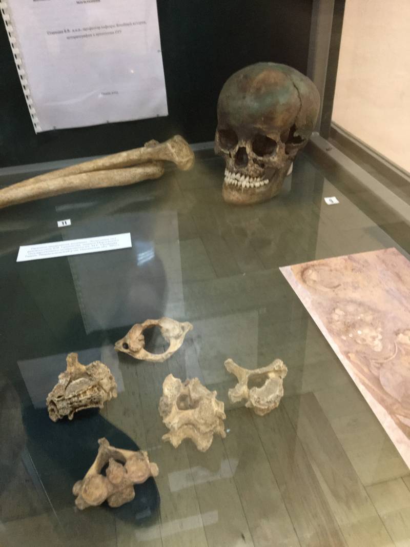 Древние культуры нашей страны: племена эпохи бронзы история