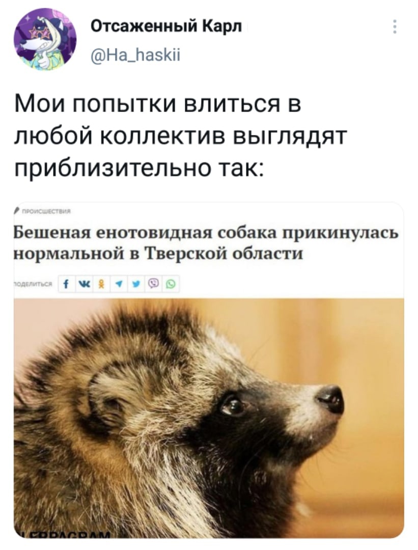 Юмор из интернета 612 Юмор из интернета 612 позитив,смех,улыбки,юмор