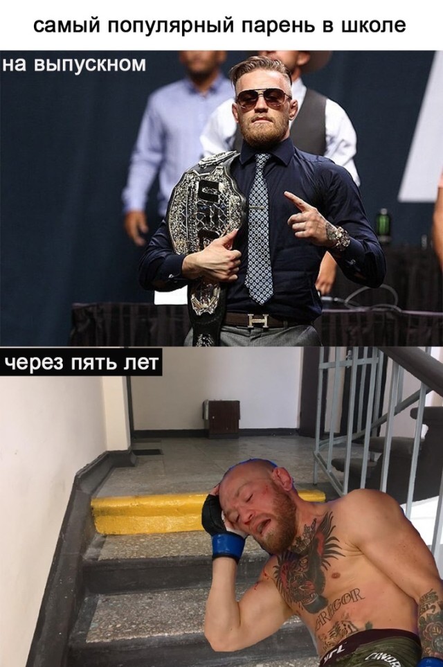 Подборка картинок. Вечерний выпуск  приколы,смешные картинки,юмор