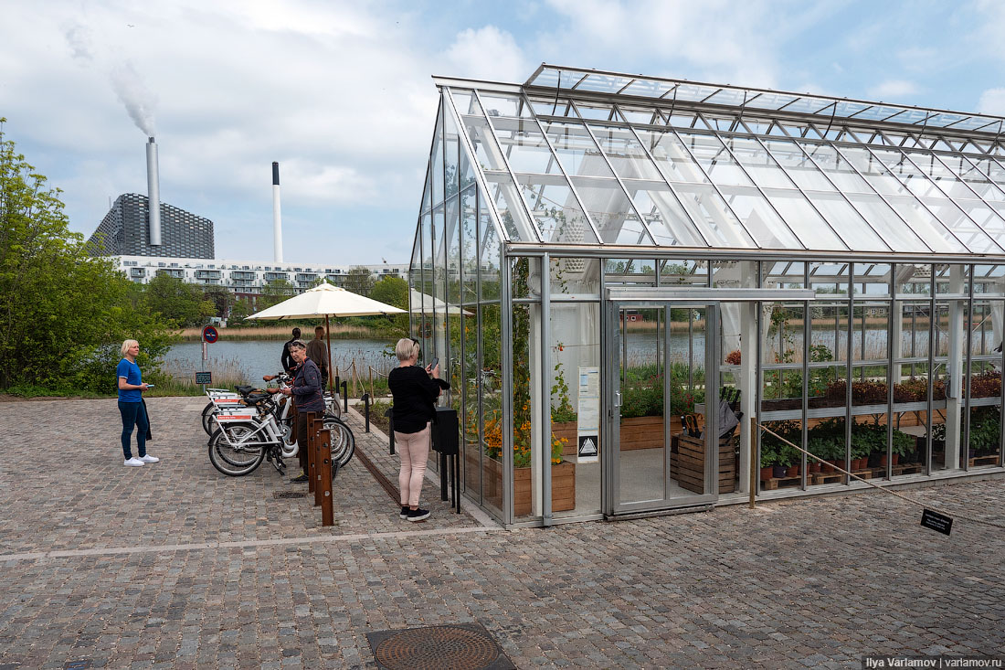 Лучший ресторан мира: рыбий пузырь, муравьи и кожа в шоколаде Лучший ресторан мира: рыбий пузырь, муравьи и кожа в шоколаде мир,страны,туризм