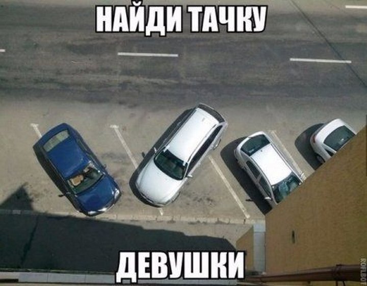 Приколы картинки про автошколы