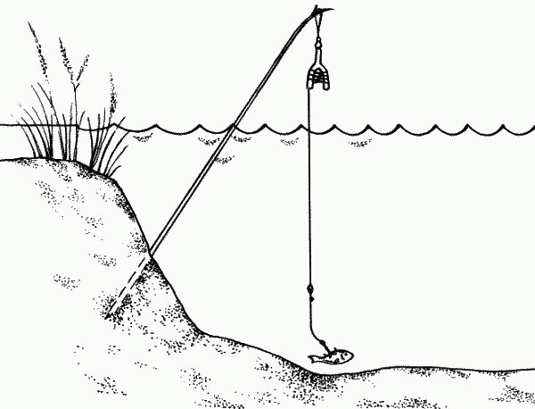 Рыболовные снасти