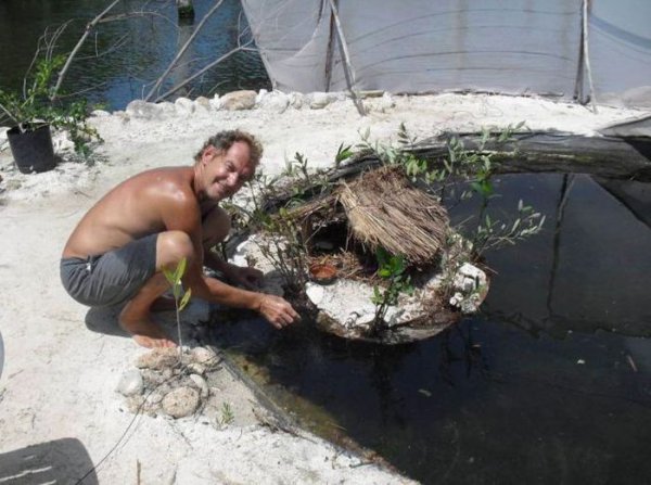 Искусственный остров из пластиковых бутылок Искусственный остров из пластиковых бутылок сделай сам