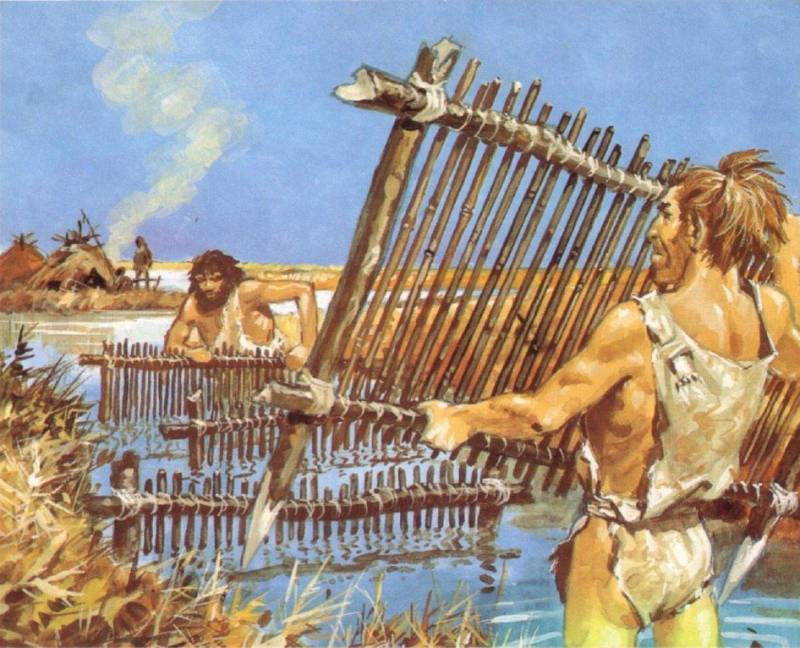 Древние культуры нашей страны: племена эпохи бронзы история