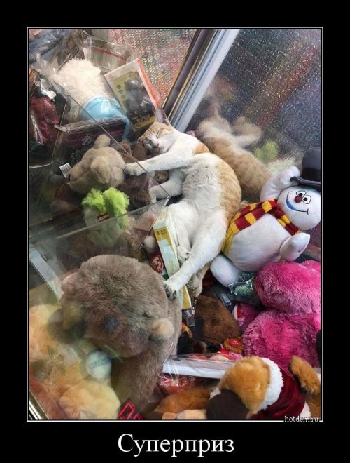 Коллекция прикольных демотиваторов Коллекция прикольных демотиваторов