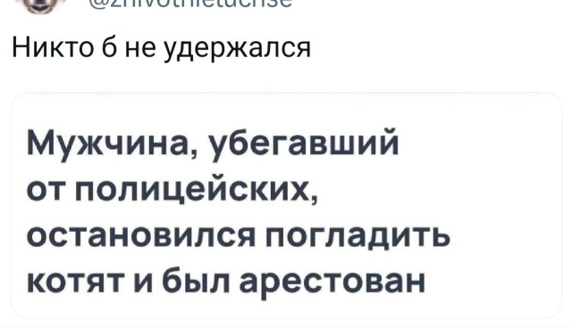 Прикольные твиты: «Оказывается, если прикольно проводить время…» 