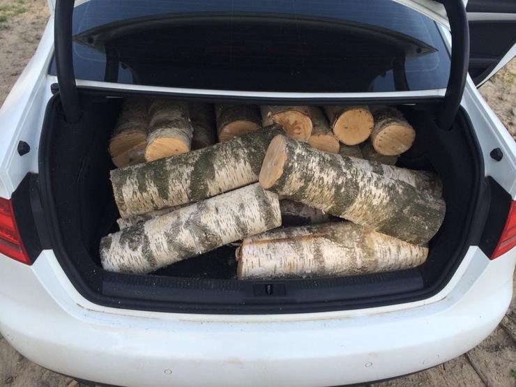 5 вещей в багажнике, за которые штрафуют, лишают прав и даже сажают в тюрьму гибдд,Россия,советы