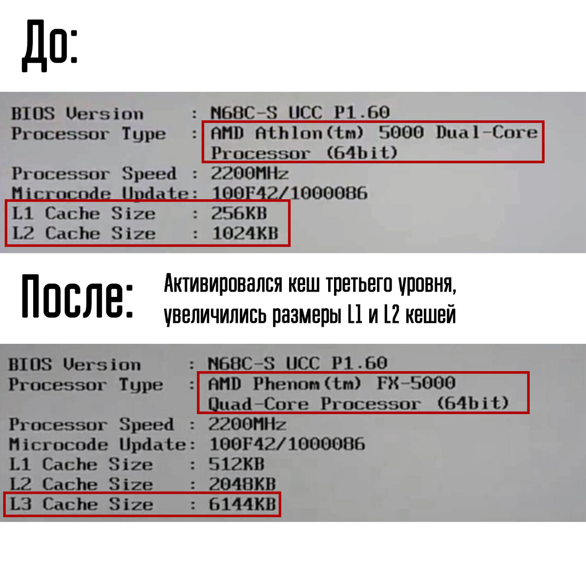 Процессор, у которого можно разблокировать дополнительные ядра процессор, можно, которых, дополнительные, более, двухъядерный, Athlon, Знали, варианты, процессоров, поддавались, данным, всего, манипуляциям, Скорее, отметить, отбраковки, мощных, вариантов, таком