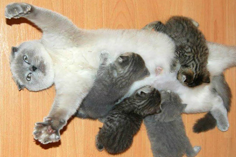 По глазам же видно, как ей классно!