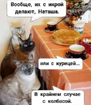 Центнер красоты Аллочка, чтобы, шагомер, соседка, только, вдруг, буквально, Аллочку, формы, каждый, решила, временами, пойти, потому, похудеть, пришлось, пошла, после, чтолиКакто, политых