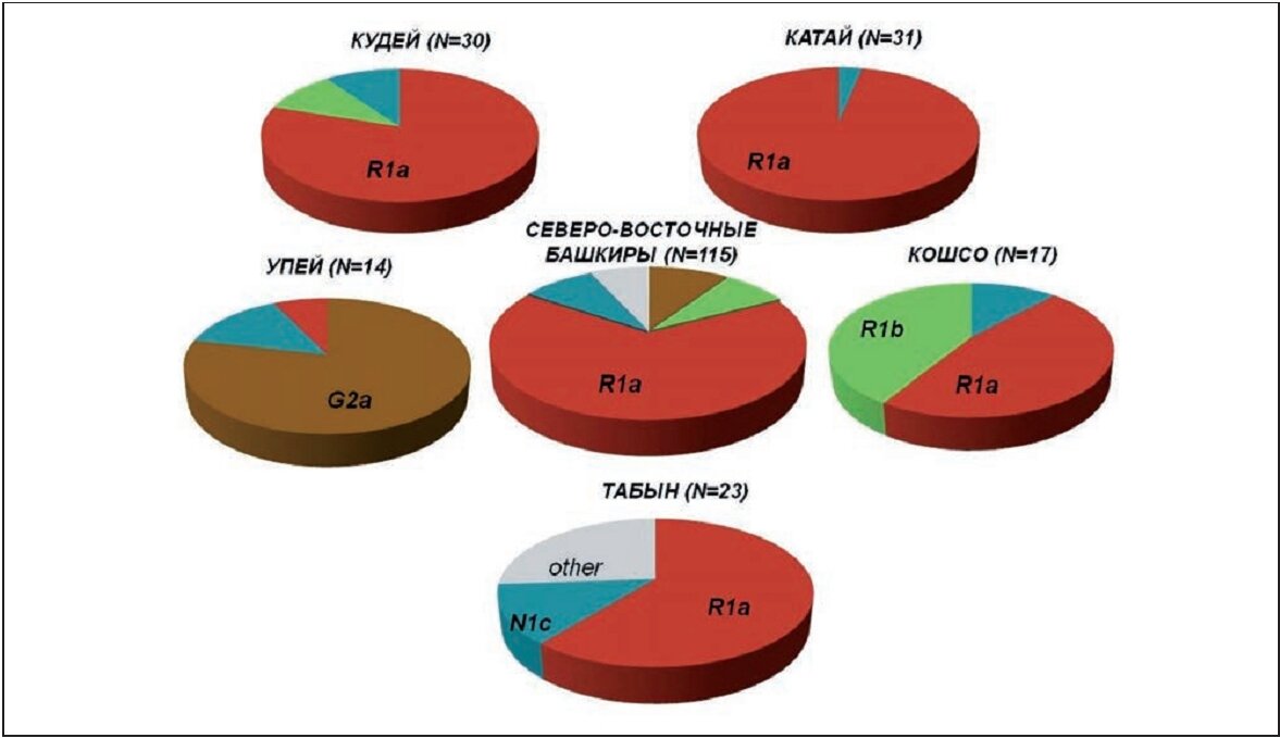 Генотипы по Y-гаплогруппам северо-восточных родов башкир (картинка взята из ОИ)