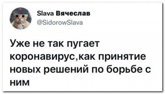 Пандемийные приколы Пандемийные приколы позитив,смешные картинки,юмор