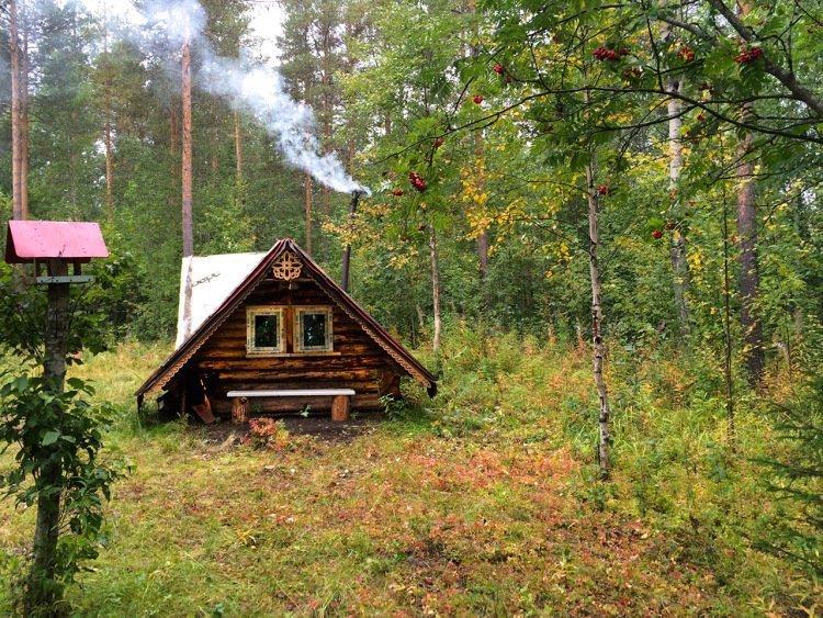 Лесная избушка. Охотничья изба в тайге. Лесные заимки в тайге. Заимка Тайга избушка Сибирь. Избушки Таёжника.