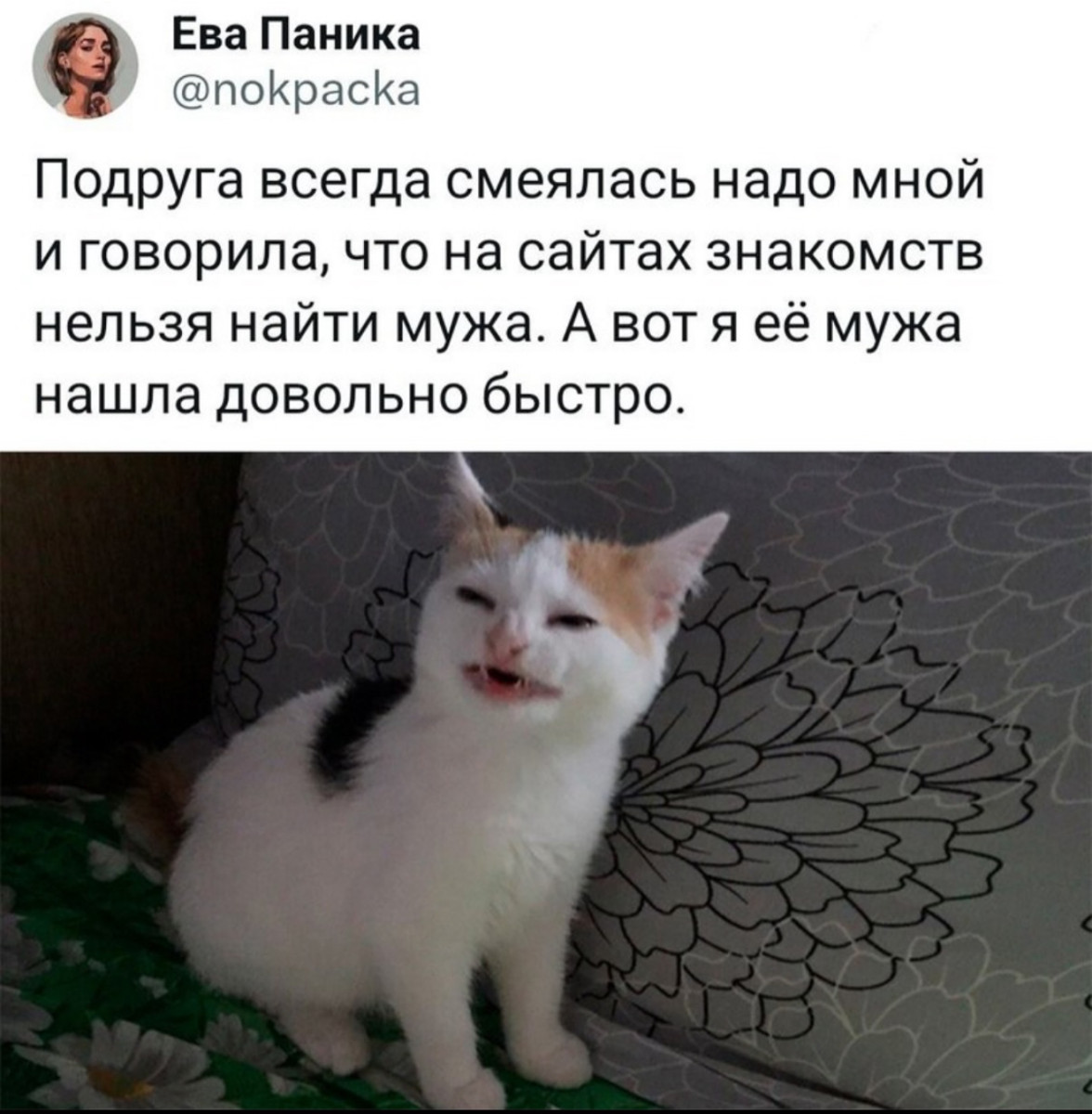 Анекдоты недели и смысл жизни 