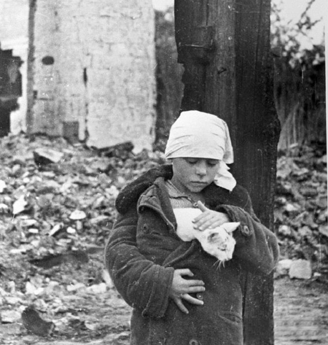 Девочка с котенком возле разрушенного дома. Смоленская область, октябрь 1941 года.