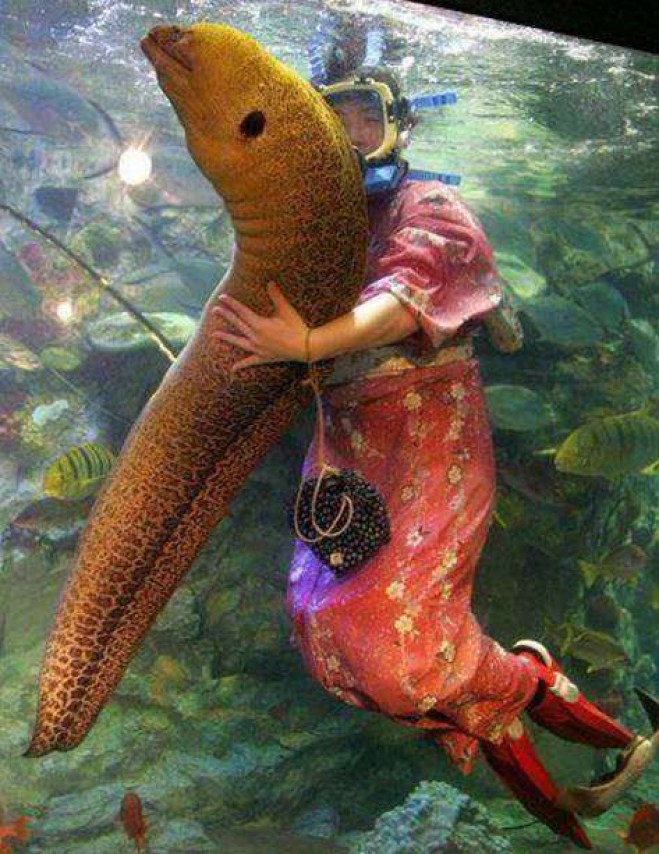 странности которые можно увидеть только в Японии 