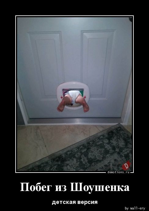 Демотиваторы в середине недели: «Вчера здесь было три кабачка» 