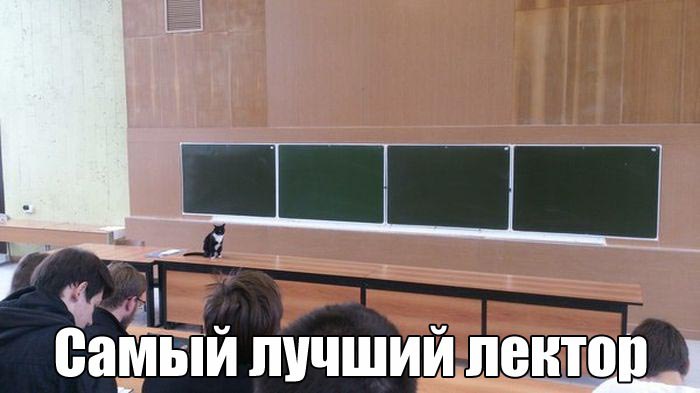 Подборка смешных картинок и забавных фото приколов с надписями из сети Подборка смешных картинок и забавных фото приколов с надписями из сети