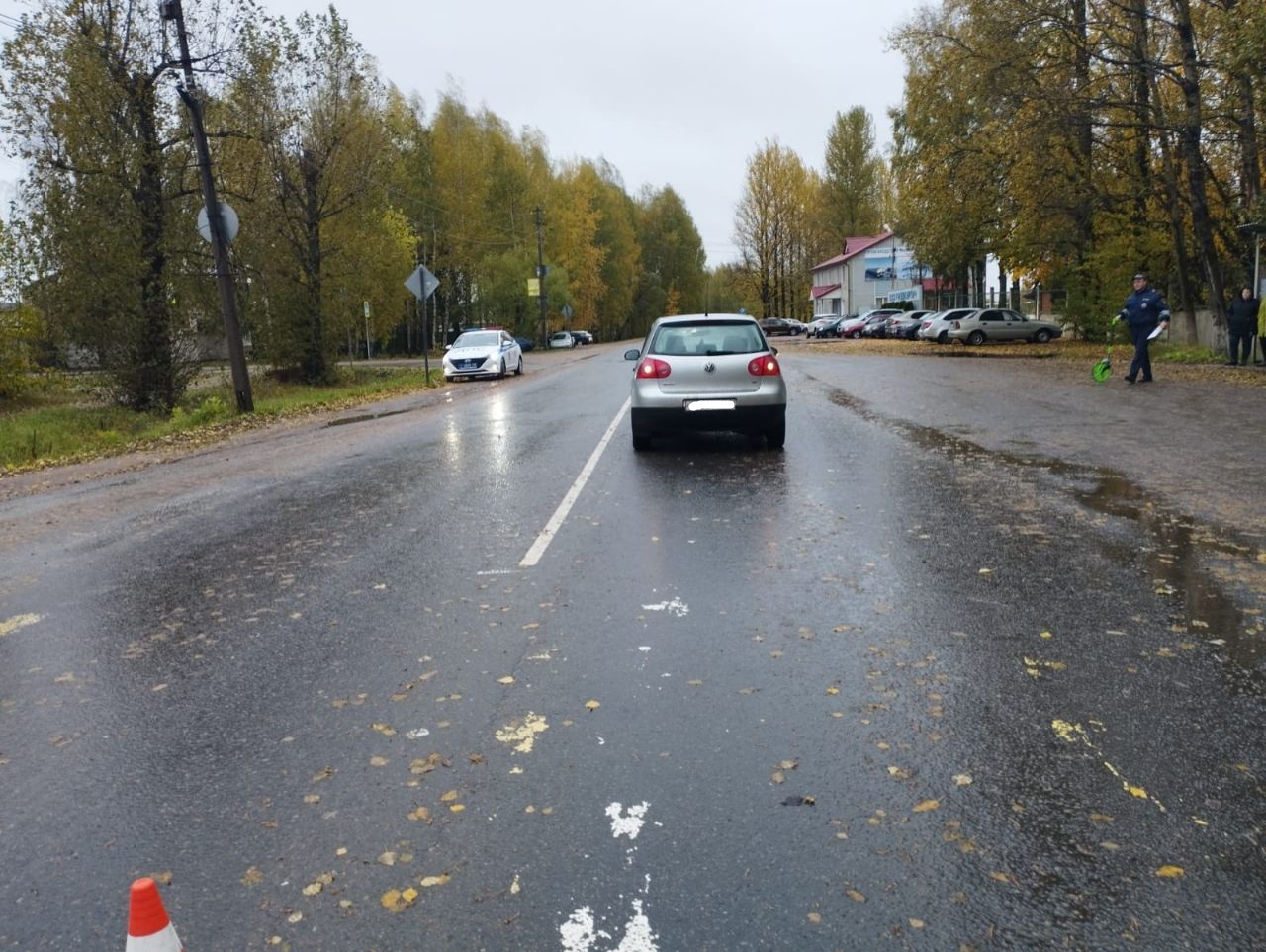 В Тверской области водитель поздно заметила пешехода на переходе
