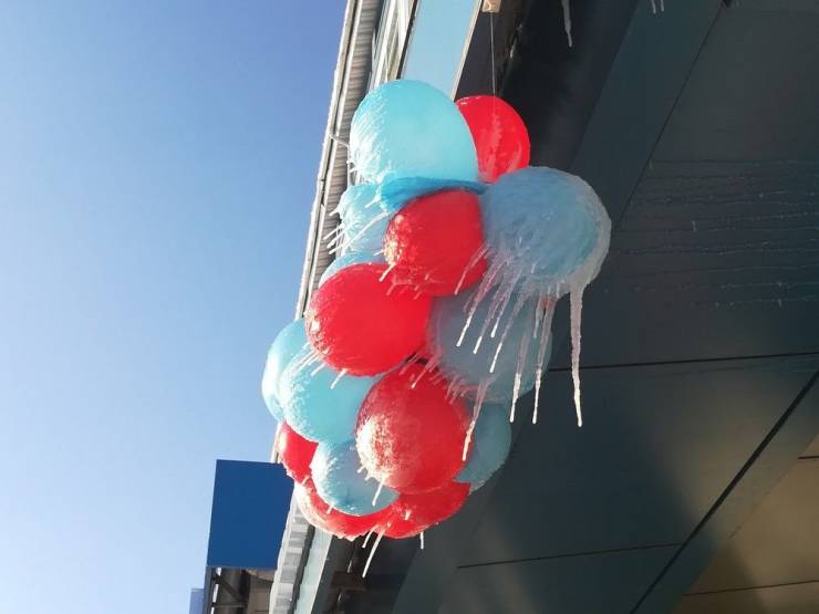 Подборка прикольных картинок  приколы,смешные картинки,юмор