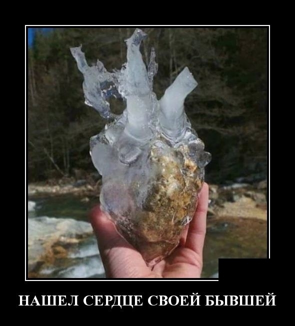 Демотиваторы на 12 февраля Демотиваторы на 12 февраля