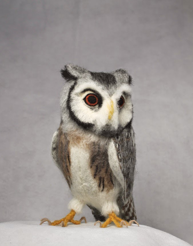 войлок войлок