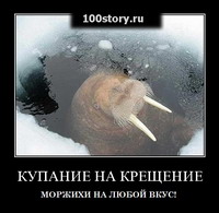 А не нырнуть ли…?