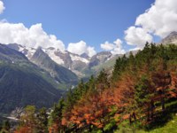 Клуб путешествий Павла Аксенова. Россия. Домбайская поляна. Nice panoramic view of high mountain Dombaj. Russia. Фото FineShine -Depositphotos