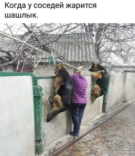 Юмор из интернета 702 позитив,смех,улыбки,юмор