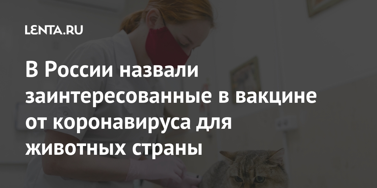 В России назвали заинтересованные в вакцине от коронавируса для животных страны Мир
